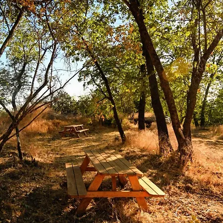 Campground At Sequoia Mountain Farms - Bring Your Own Tent Or Rv - No Bedrooms Or Beds Provided Miramonte Exterior photo