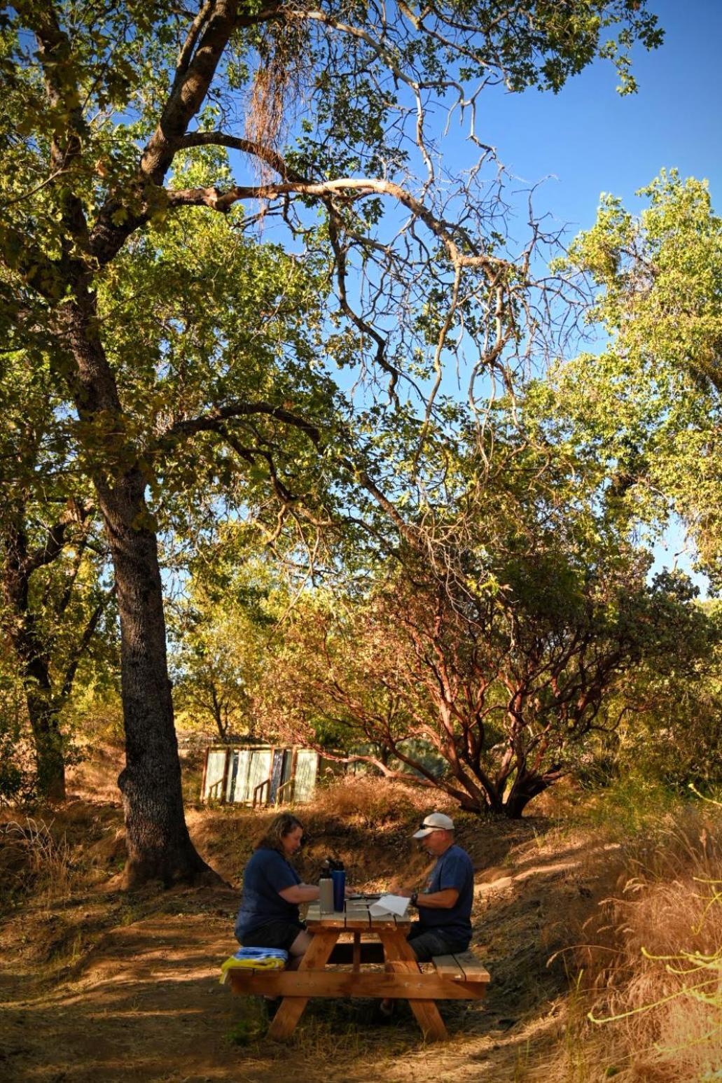 At Sequoia Mountain Farms - Bring Your Own Tent Or Rv - No Bedrooms Or Beds Provided *