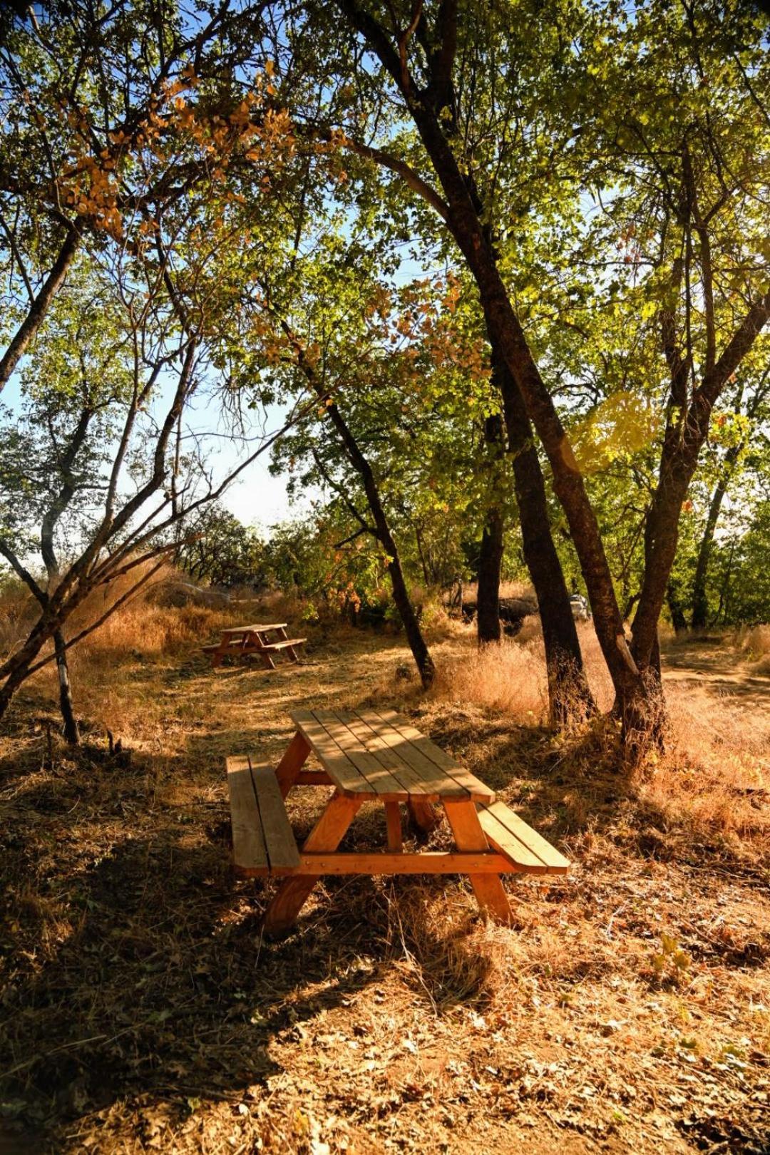 At Sequoia Mountain Farms - Bring Your Own Tent Or Rv - No Bedrooms Or Beds Provided Campsite *